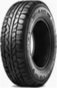 Single Blacklion tire illustration